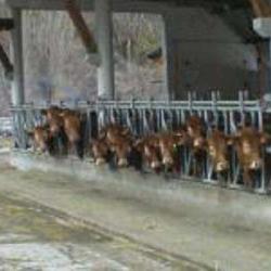 La Ferme Vignecoise