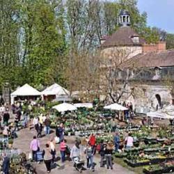 La Fête Des Plantes Vivaces