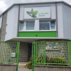 La Feuille D Erable