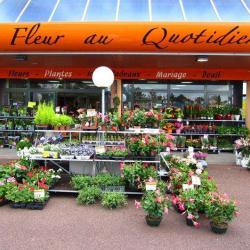 La Fleur Au Quotidien