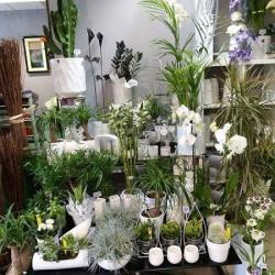 La Fleuristerie