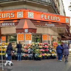 La Fleurothèque