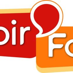 La Foir'fouille