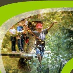 La Foret D'acrobates