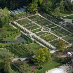 La Forêt De Chantilly