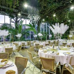 La Foret Des Arts