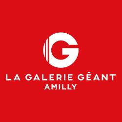 La Galerie - Amilly