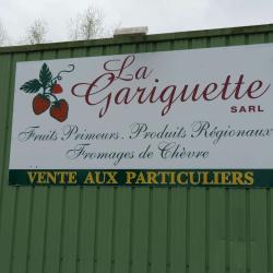 La Gariguette