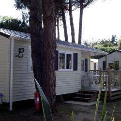 Camping La Grainetiere - 4 étoiles
