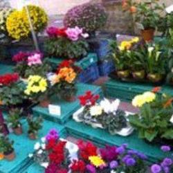 La Jardinerie Du Pont