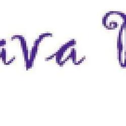 La Java Bleue - Fleuriste