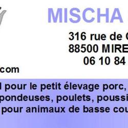 La Lapiniere - Sarl Mischa