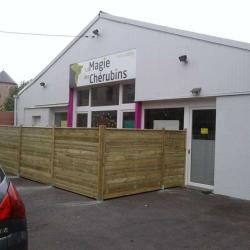 La Magie Des Chérubins