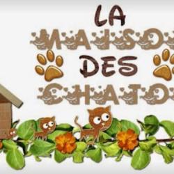 La Maison Des Chatons Perroncel