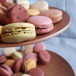 La Maison Du Chocolat