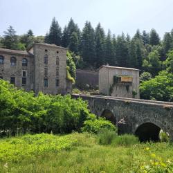 La Manne Du Moulin