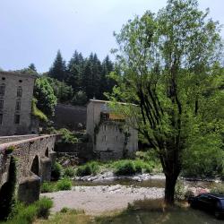 La Manne Du Moulin