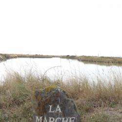 Saline De La Marche De Larante