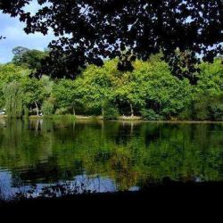 La Mare Aux Canards
