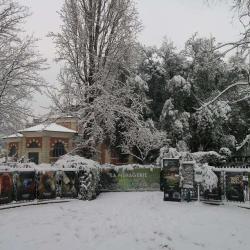 La Ménagerie Du Jardin Des Plantes