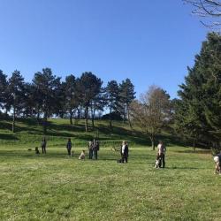 La Meute D’onyx – Educateur Comportementaliste Canin à Sartrouville Et Ses Alentours