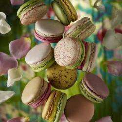 La Mignardise De Saint Cyr
