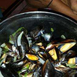 La Moule Rit