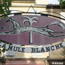 Mule Blanche