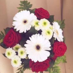 La Nature En Fleurs