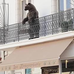 La Nounourserie