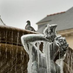 La Patinoire De La Place Royale