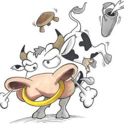 La Peau D'vache