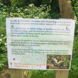 La Pépinière
