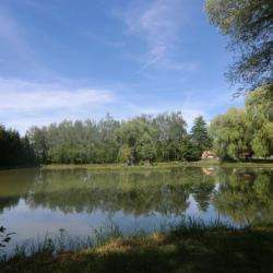 La Petite Camargue Alsacienne