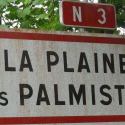 La Plaine Des Palmistes