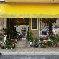 La Ronde Des Fleurs
