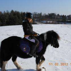 La Ronde Des Poneys