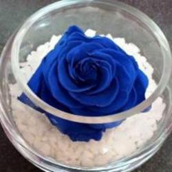 La Rose Bleue