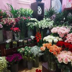 La Rose De Grenelle