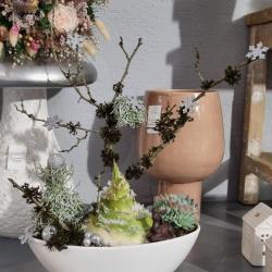 La Roseraie - Fleuriste Mulhouse