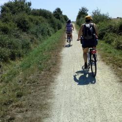 La Route Du Sel