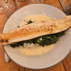 La Salamandre