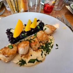 La Salamandre