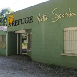 La Société Protectrice Des Animaux (spa) - Refuge D'inzinzac