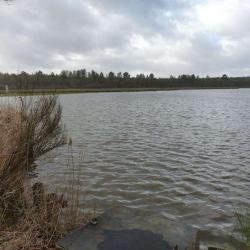 La Sologne Des Etangs