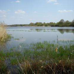 La Sologne