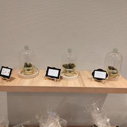 La Source Cbd Beauvais - Magasin Cbd - Vape Cbd Beauvais