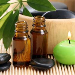 La Source De Beauté