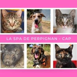 La Spa - Refuge De Perpignan