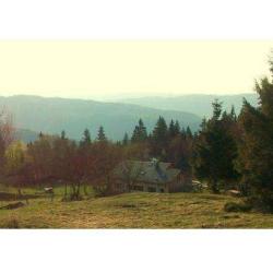 La Taniere